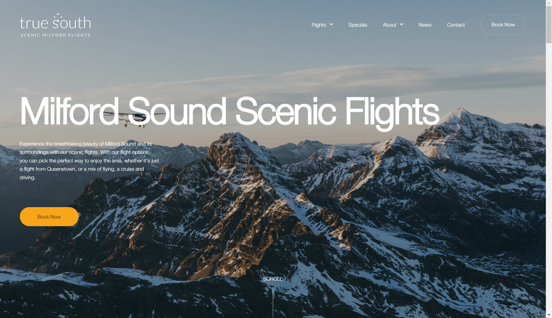 true south flights milford sound landing page