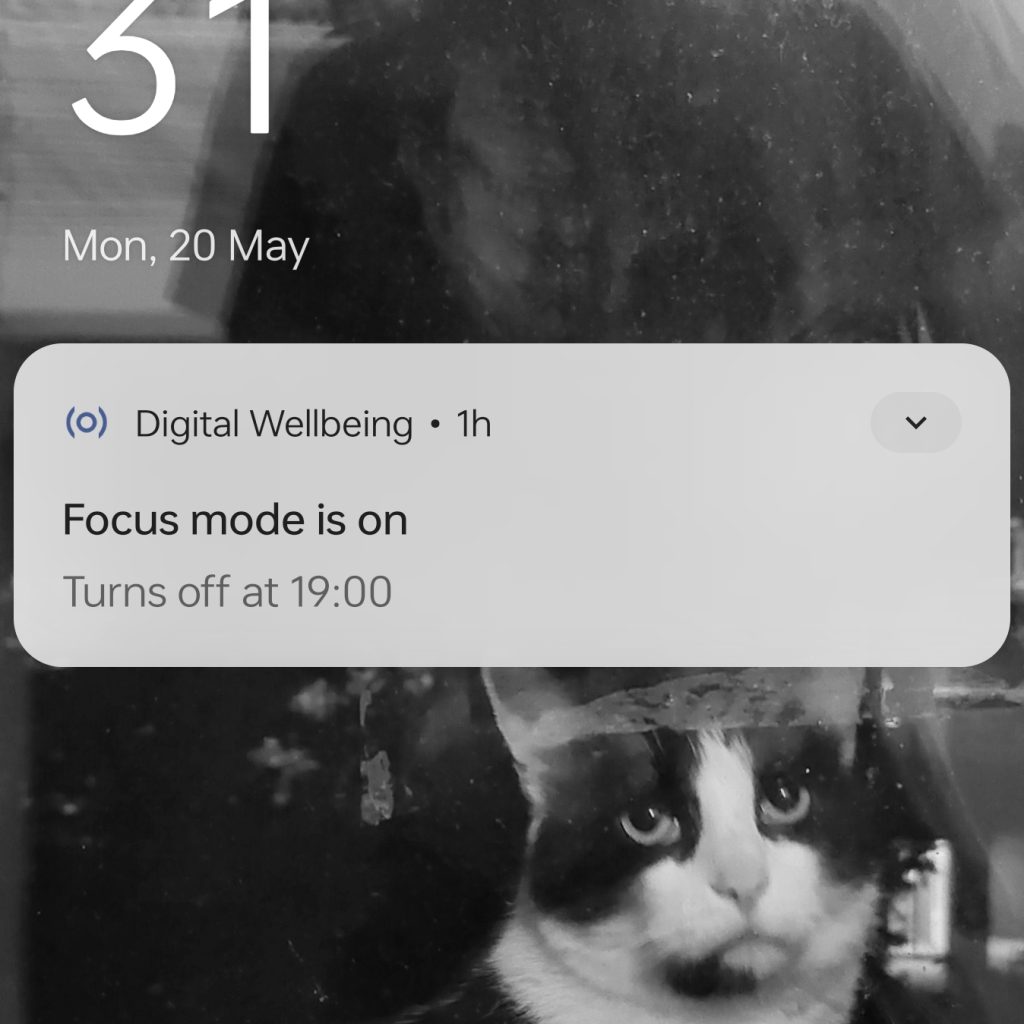 A phone screen with a notification about Focus Mode, a digital wellbeing tool